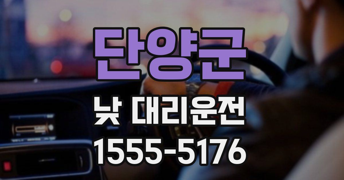 단양군 낮 대리운전