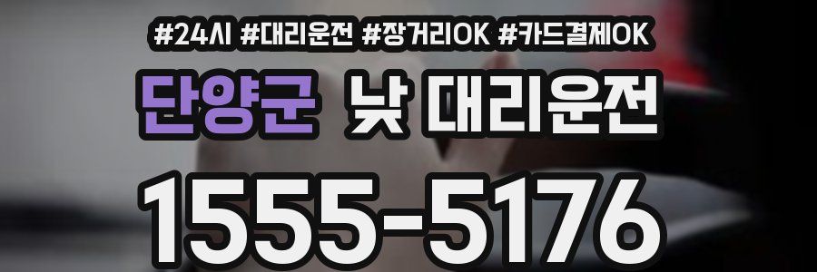 단양군 낮 대리운전