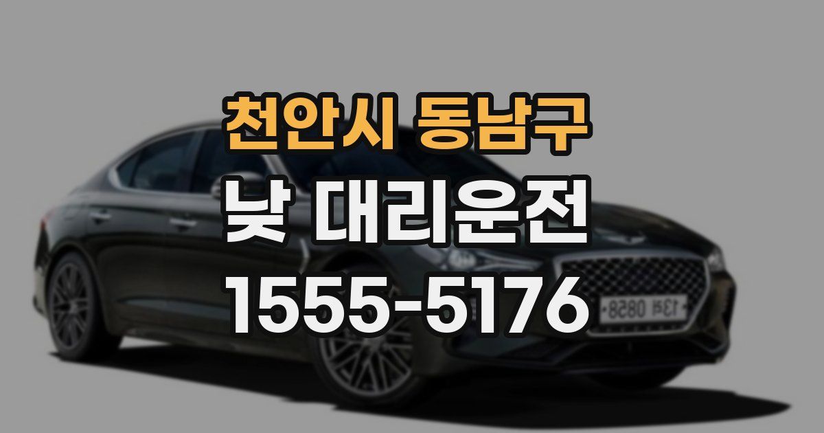 천안시 동남구 낮 대리운전