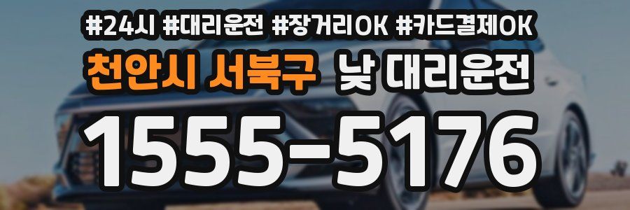 천안시 서북구 낮 대리운전