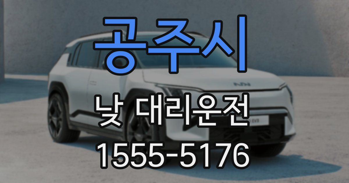 공주시 낮 대리운전