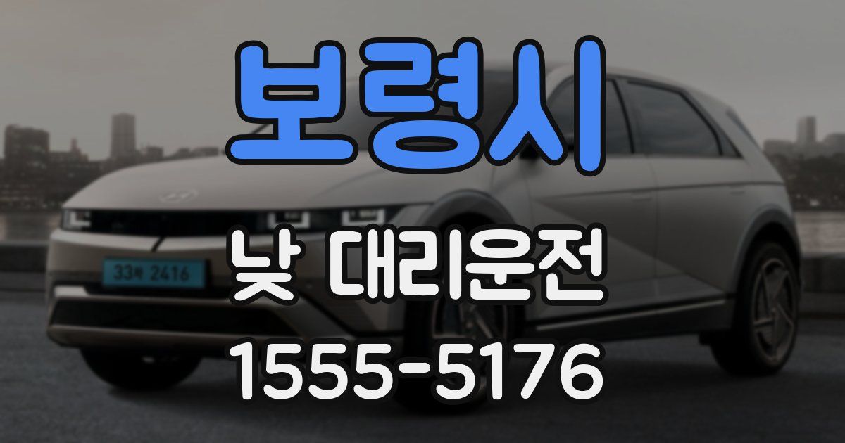 보령시 낮 대리운전