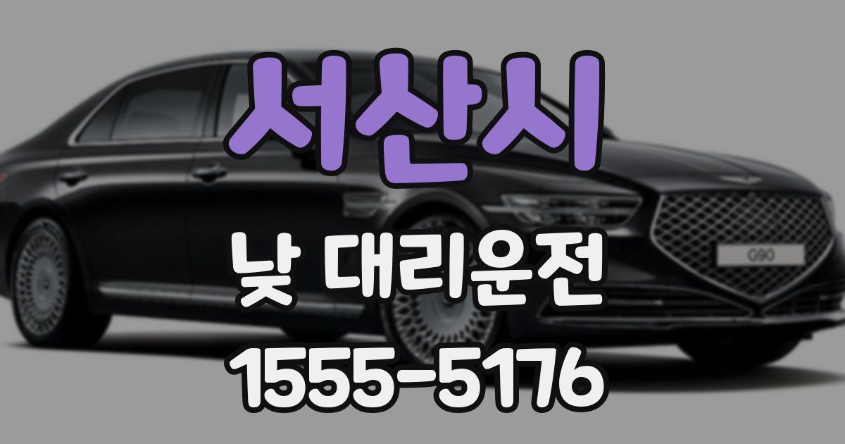 서산시 낮 대리운전