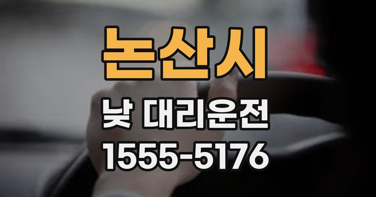 논산시 낮 대리운전