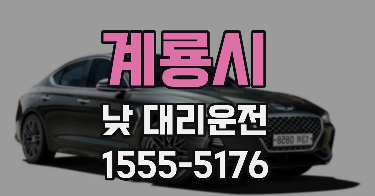 계룡시 낮 대리운전