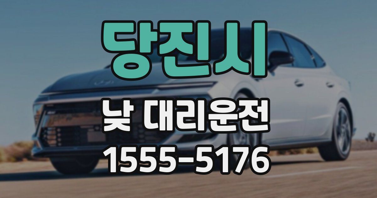 당진시 낮 대리운전