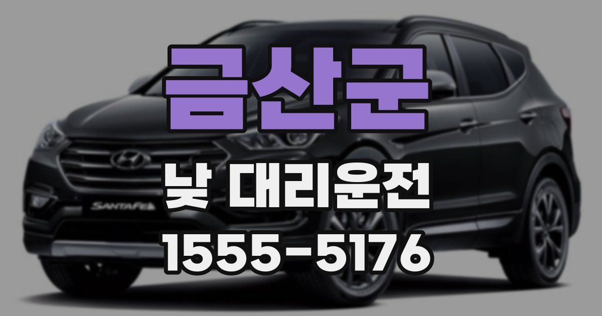 금산군 낮 대리운전