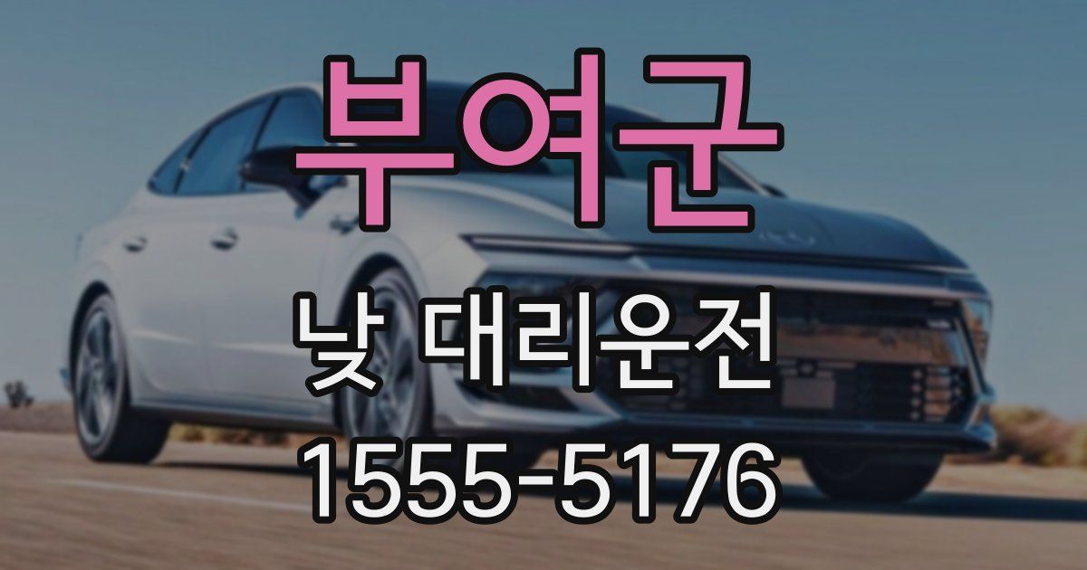 부여군 낮 대리운전