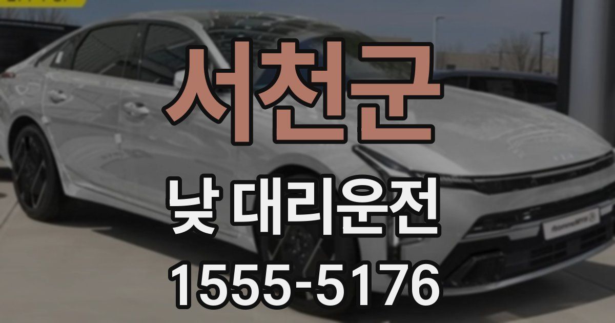 서천군 낮 대리운전