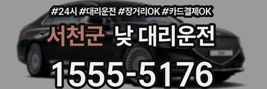 서천군 낮 대리운전