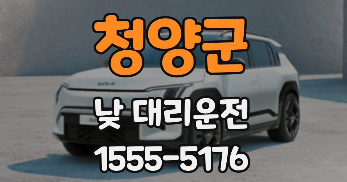 청양군 낮 대리운전