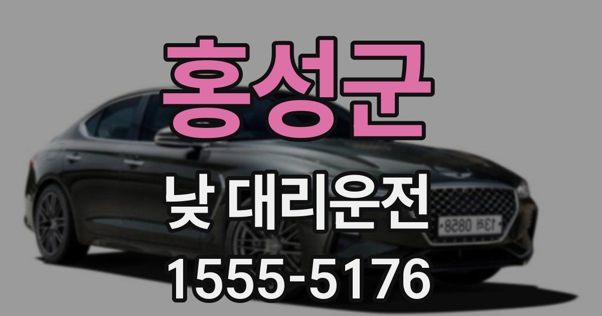 홍성군 낮 대리운전