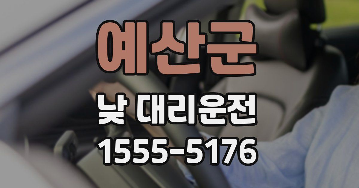 예산군 낮 대리운전