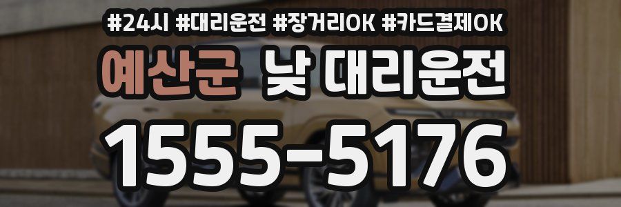 예산군 낮 대리운전