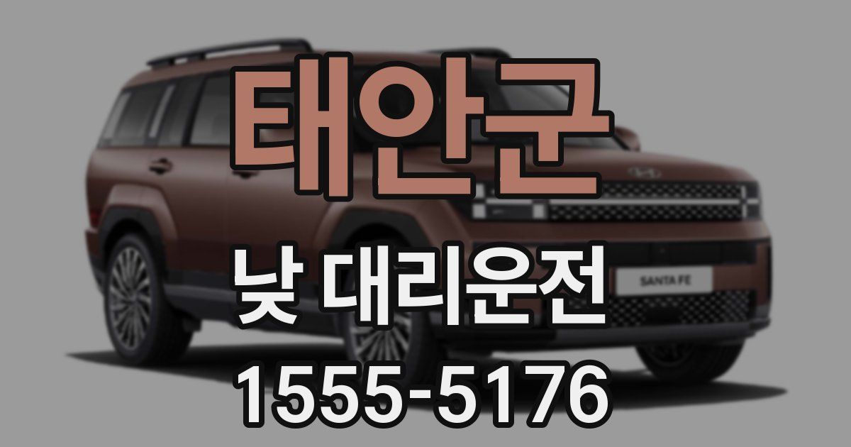 태안군 낮 대리운전