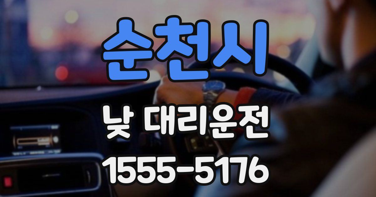 순천시 낮 대리운전