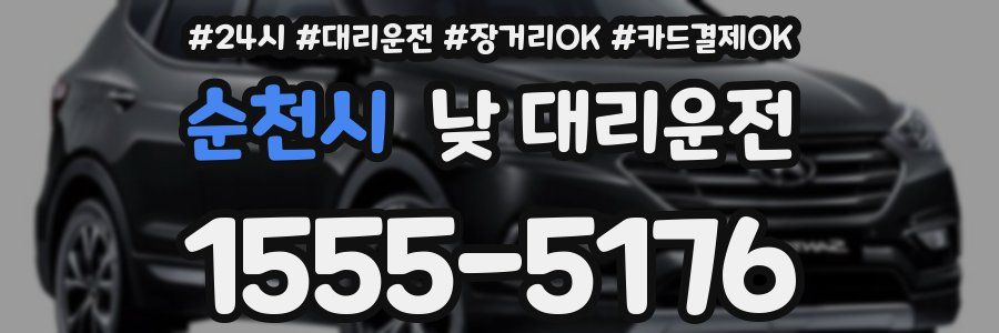 순천시 낮 대리운전