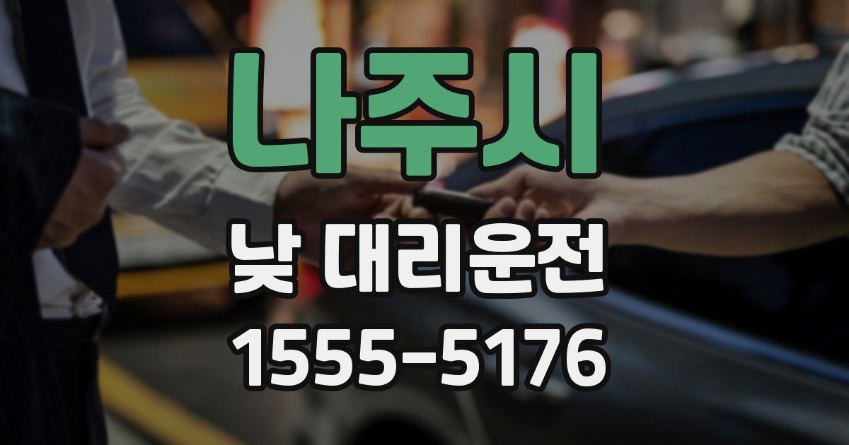 나주시 낮 대리운전
