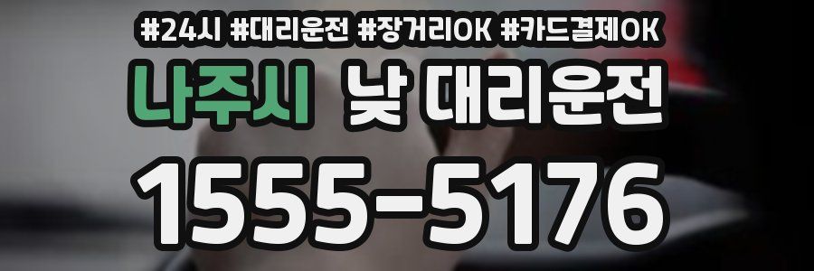 나주시 낮 대리운전