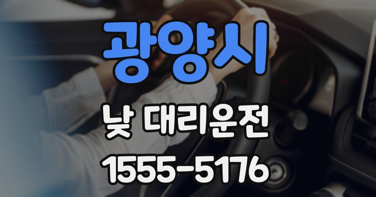 광양시 낮 대리운전