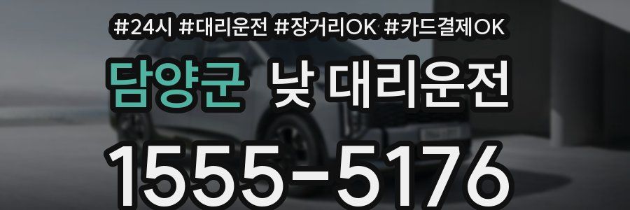 담양군 낮 대리운전