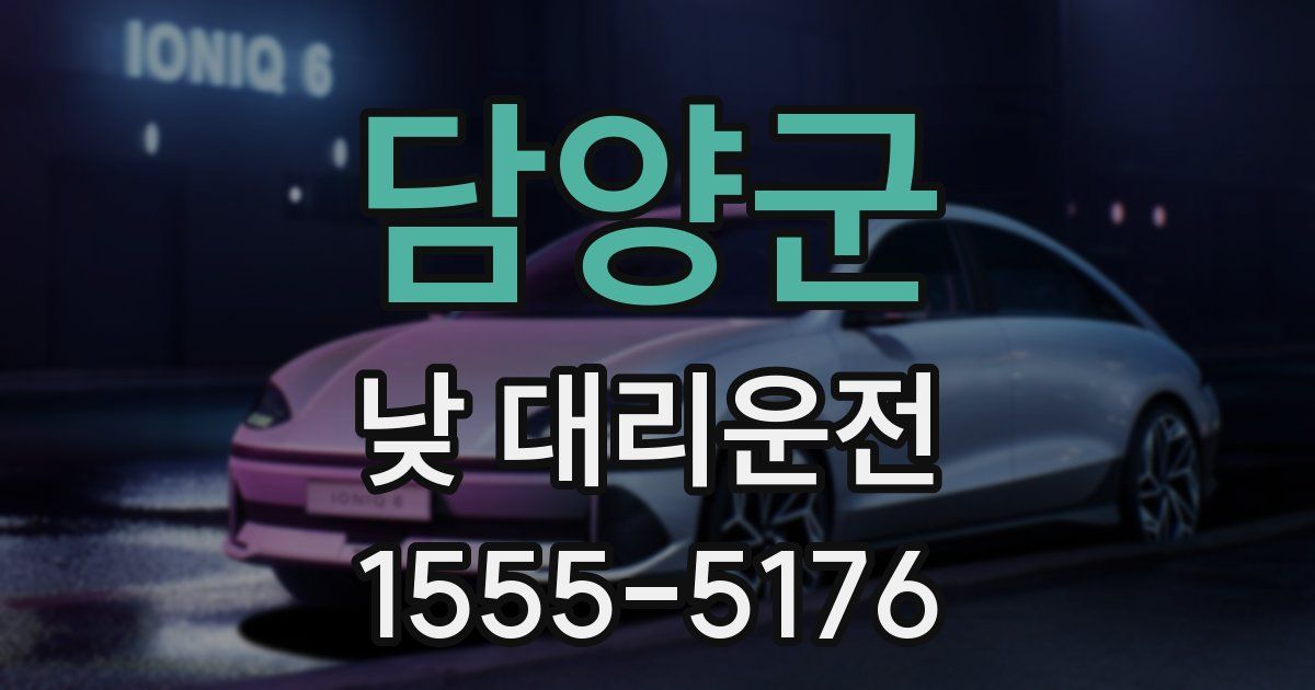 담양군 낮 대리운전
