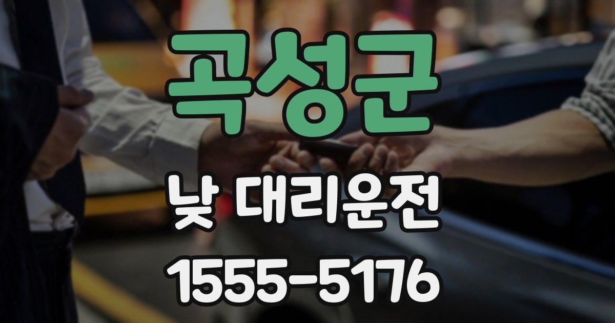 곡성군 낮 대리운전