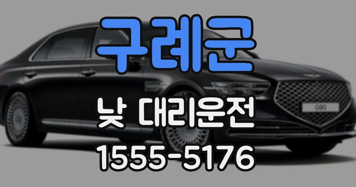 구례군 낮 대리운전