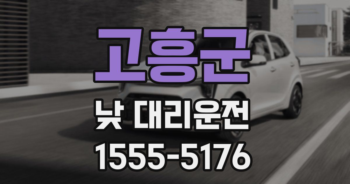 고흥군 낮 대리운전
