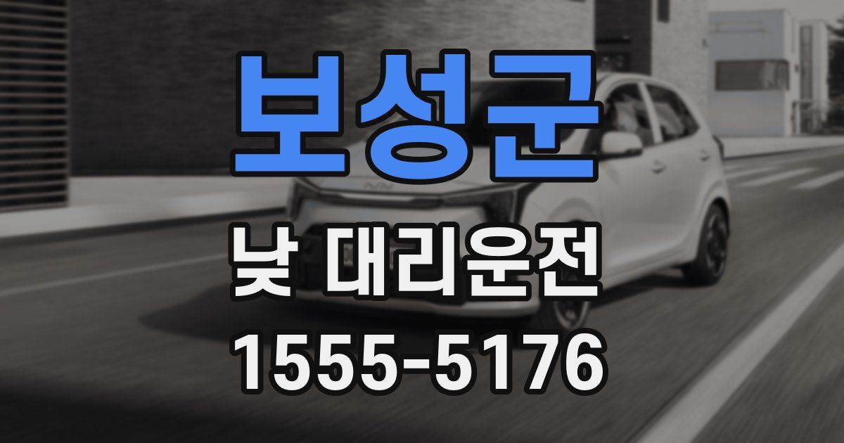 보성군 낮 대리운전
