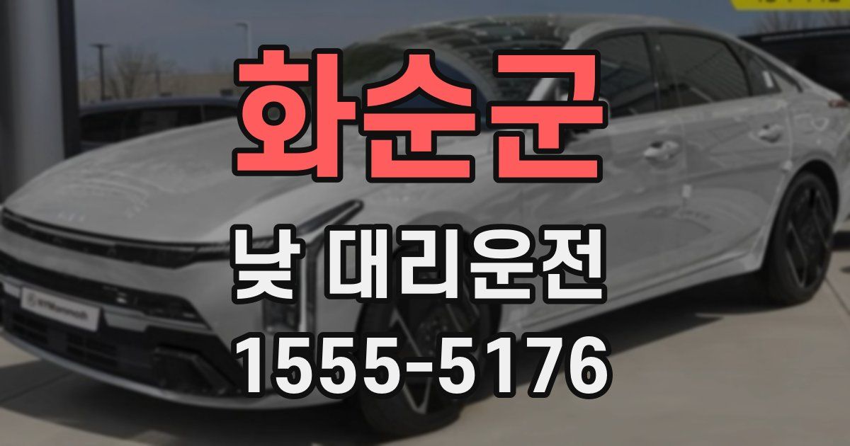 화순군 낮 대리운전