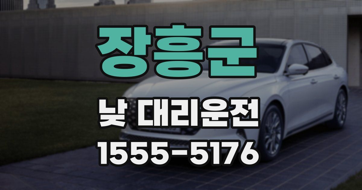 장흥군 낮 대리운전