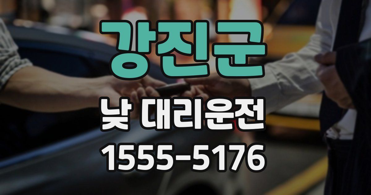 강진군 낮 대리운전