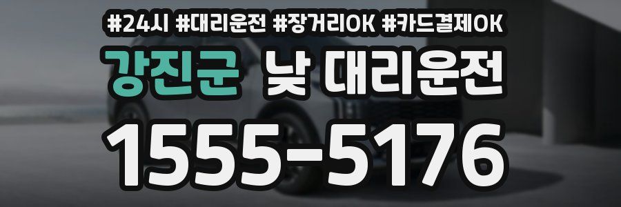 강진군 낮 대리운전