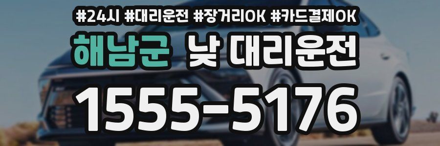 해남군 낮 대리운전