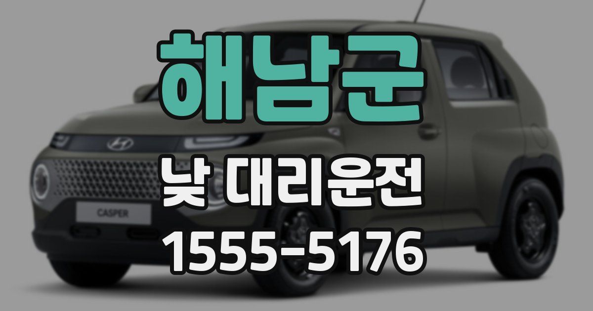 해남군 낮 대리운전