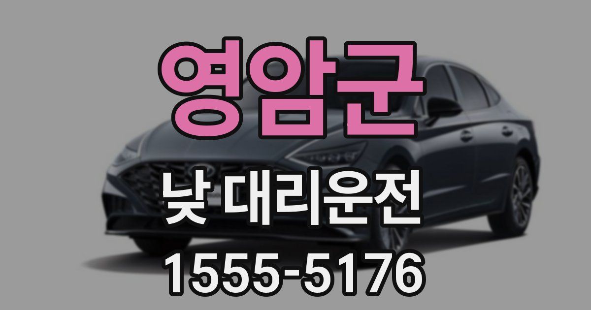 영암군 낮 대리운전