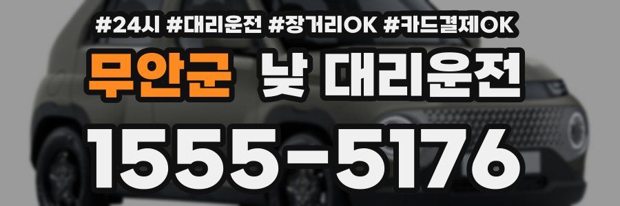 무안군 낮 대리운전