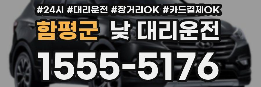 함평군 낮 대리운전