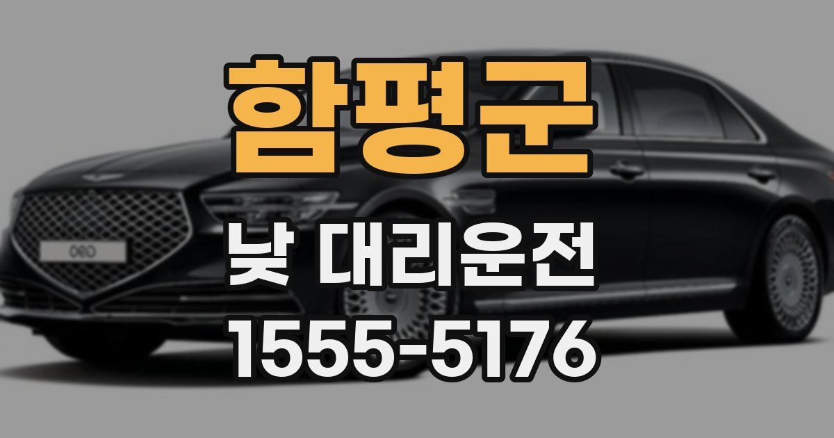 함평군 낮 대리운전