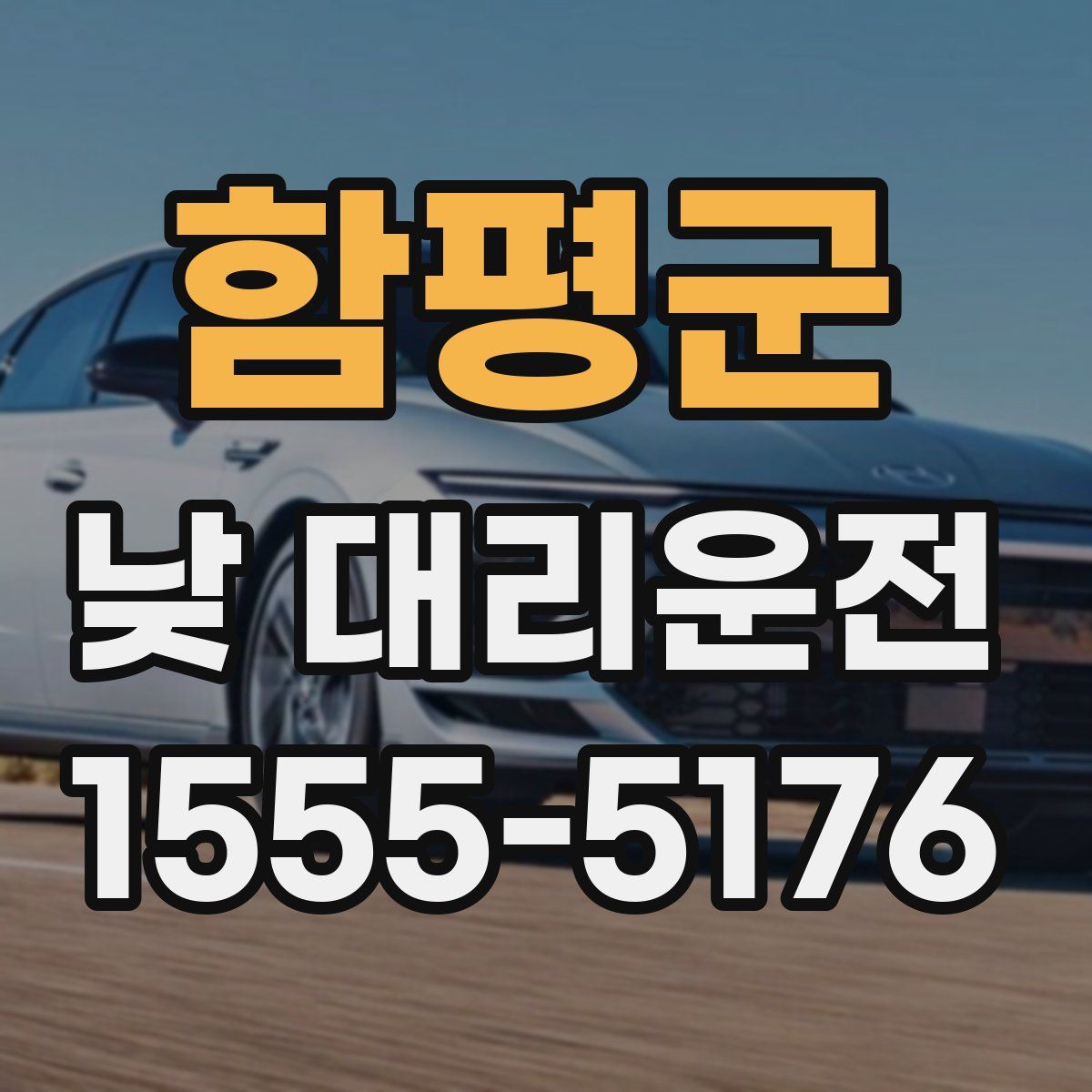 함평군 낮 대리운전