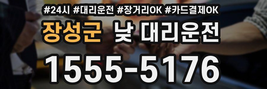 장성군 낮 대리운전