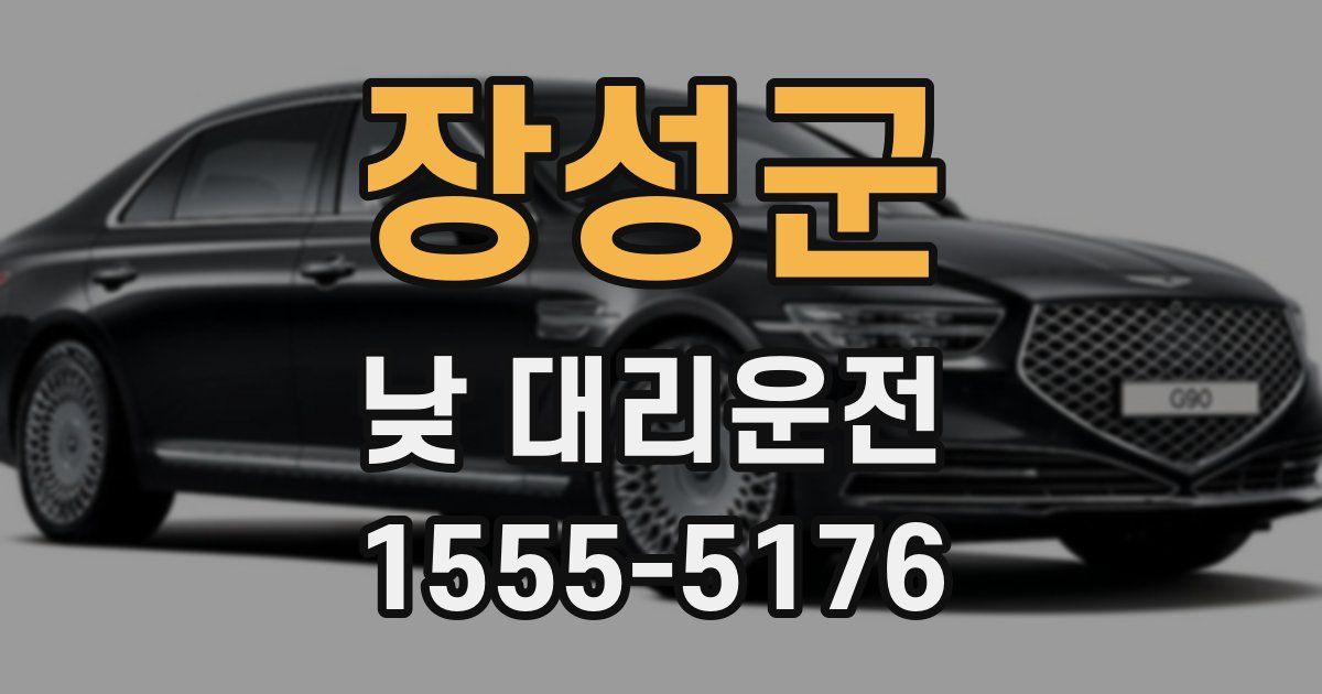 장성군 낮 대리운전
