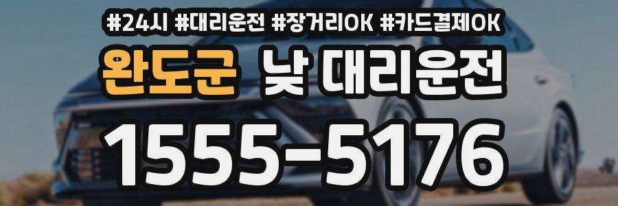 완도군 낮 대리운전