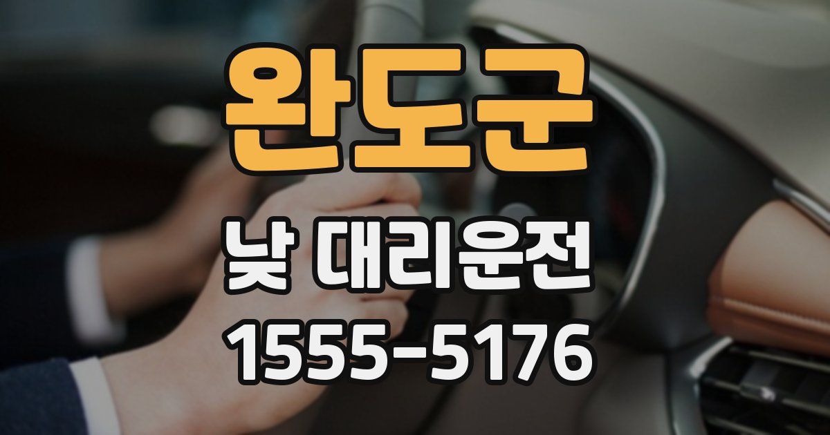 완도군 낮 대리운전