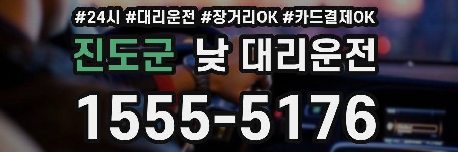 진도군 낮 대리운전