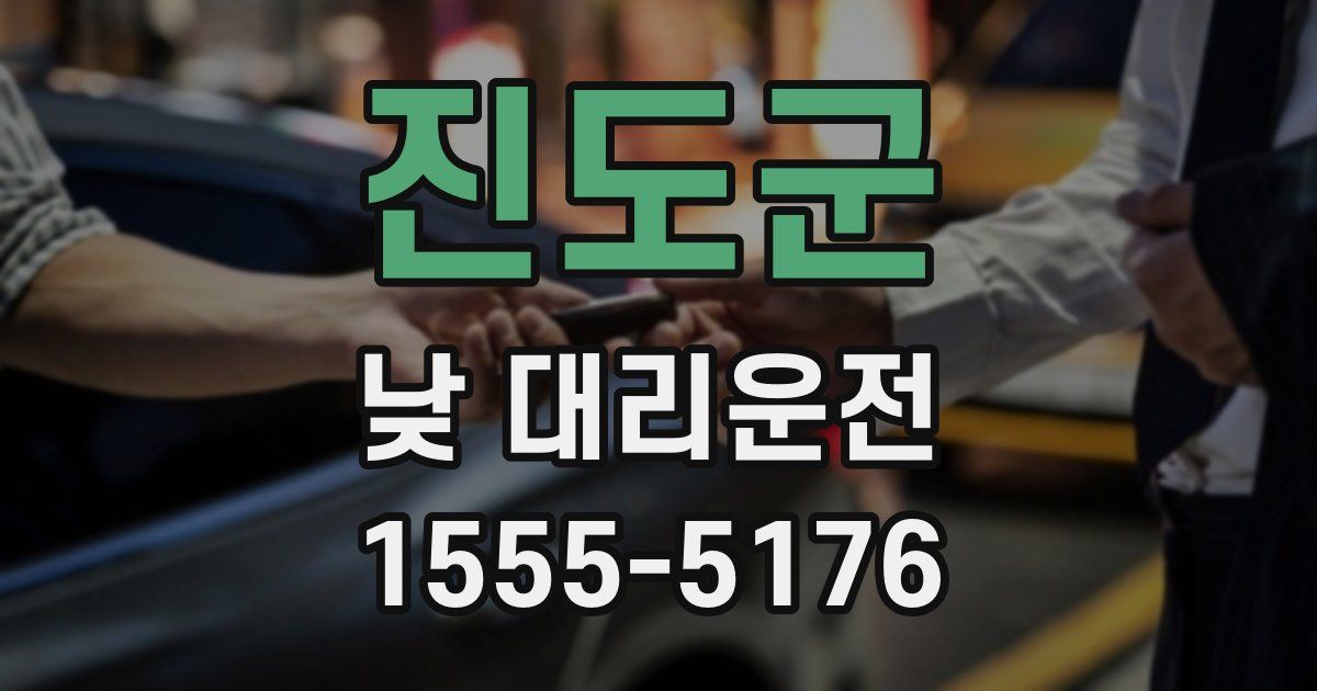진도군 낮 대리운전