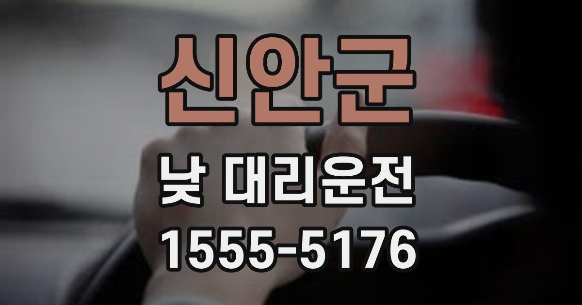 신안군 낮 대리운전