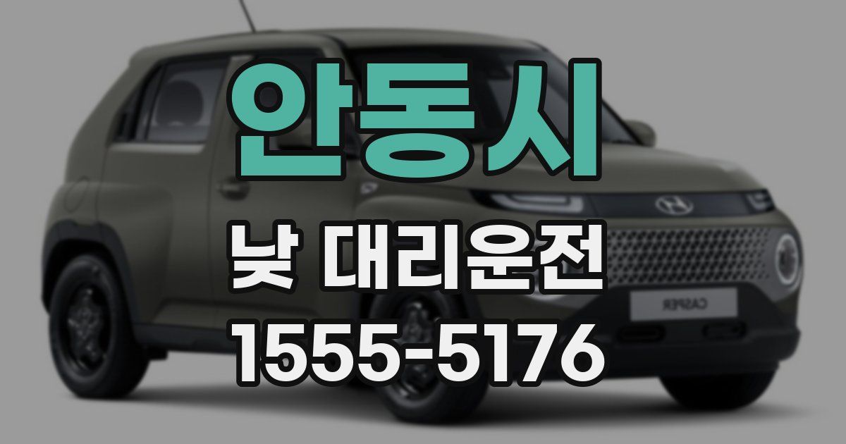 안동시 낮 대리운전