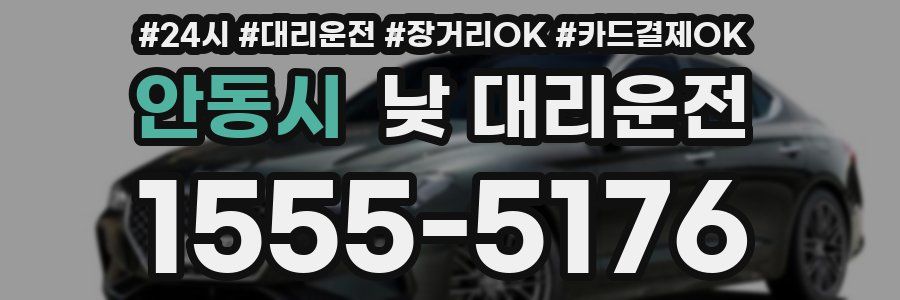 안동시 낮 대리운전